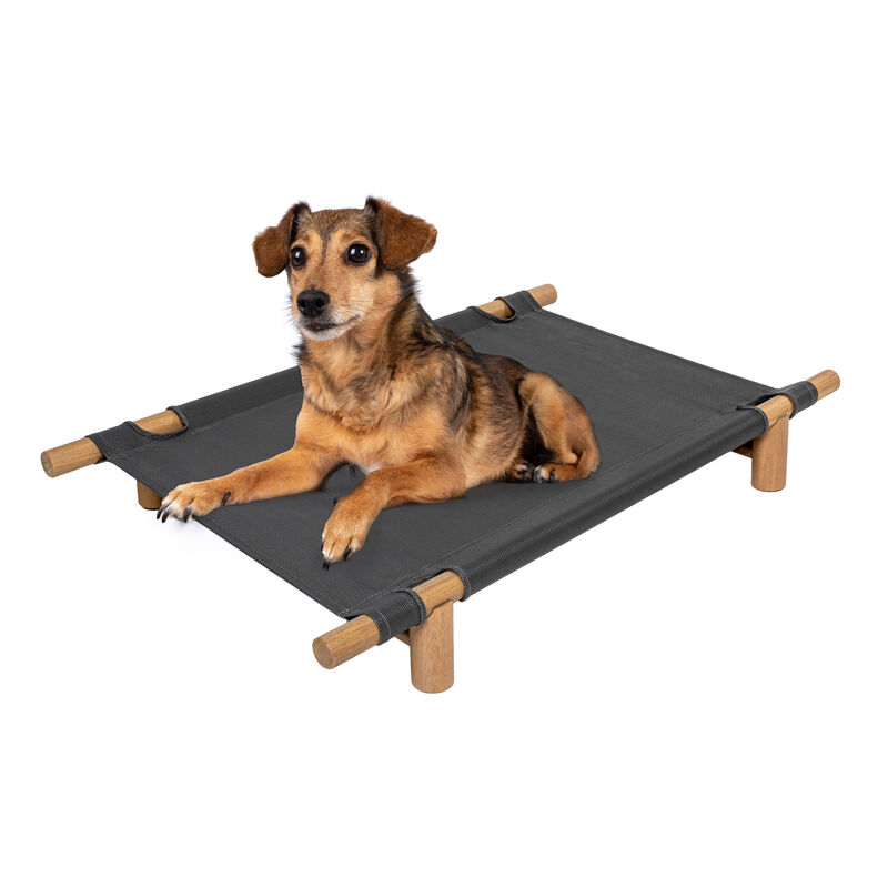 Chester 32" Modern Minimalist Wood Frame Elevated Outdoor Dog Bed