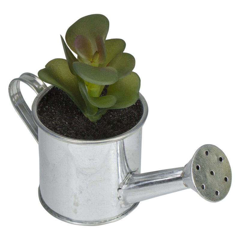 6" Tropical Atlantis Artificial Succulent in Water Can