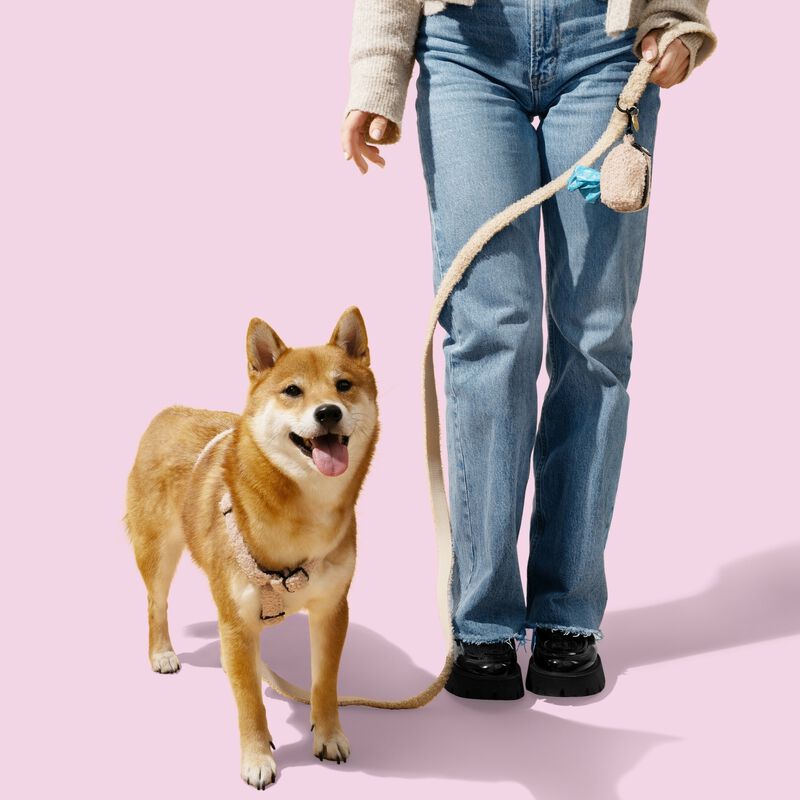 Teddy  Boucl&eacute; Adjustable H Harness and Leash Walk Set with Poop Bag Pouch