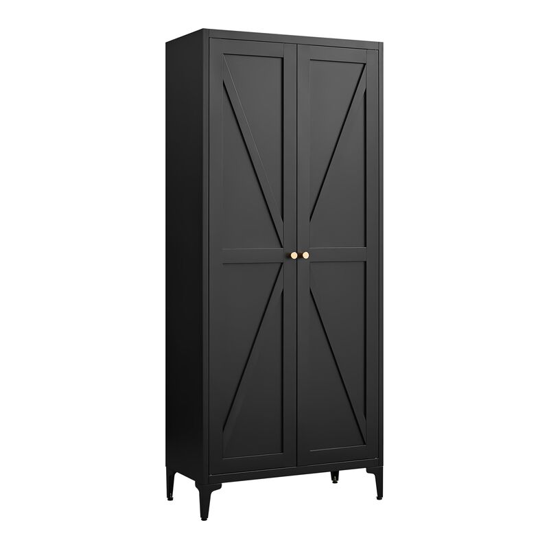 2 Doors Metal Storage Cabinet Kitchen Pantry Cabinet With Adjustable Shelves image number 0
