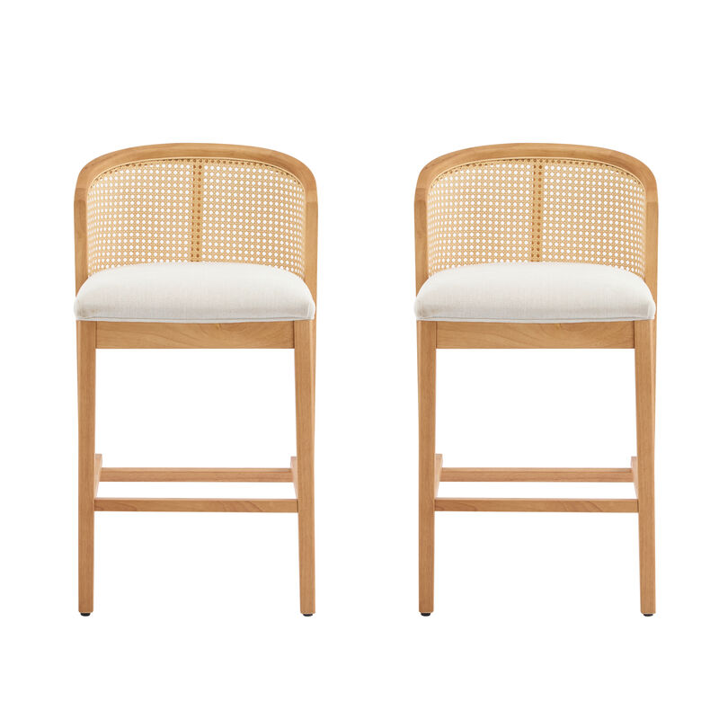 Christopher Knight Home Salazar Rattan and Rubberwood Upholstered Counter Stools(Set of 2) image number 0