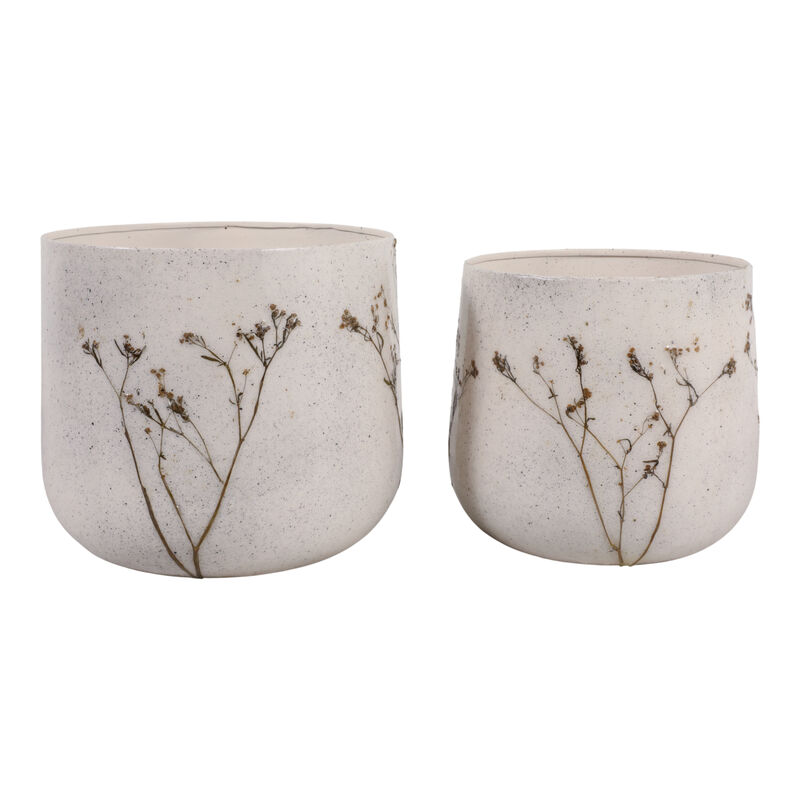 S/2 9/11" Botanical Planters image number 0