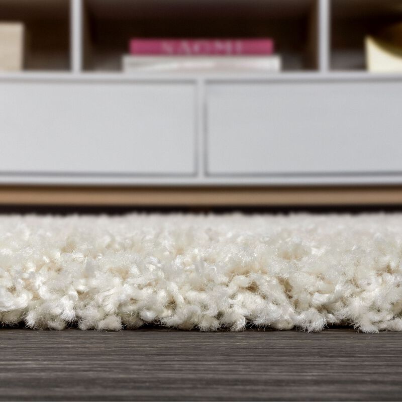 Mercer Shag Plush Area Rug