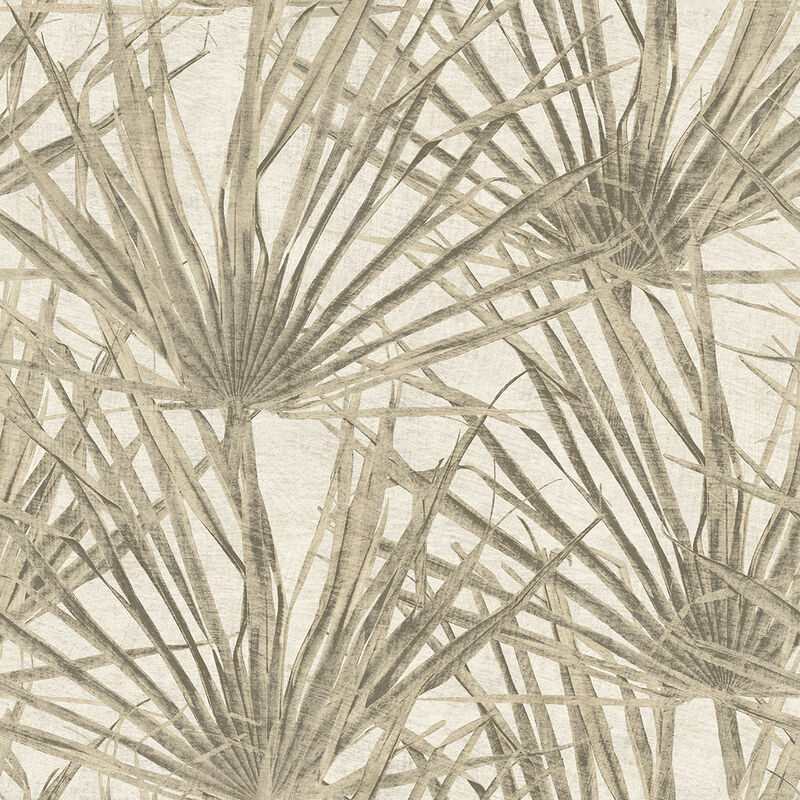 Palm Wallpaper image number 0