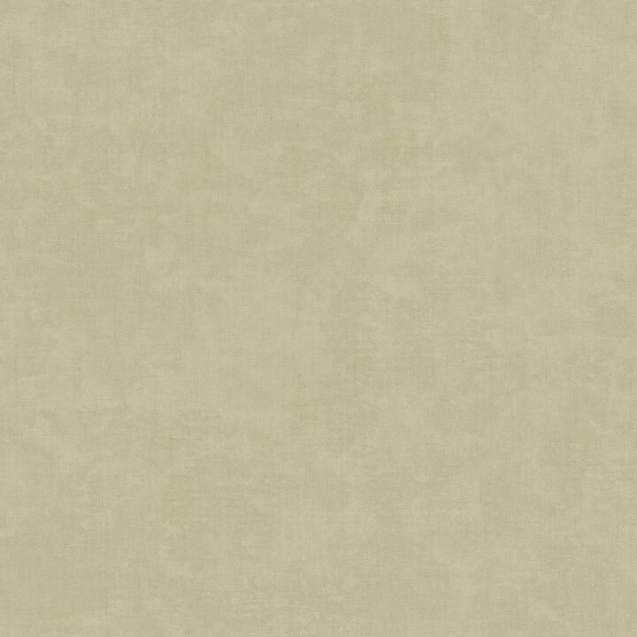 Italian Textures 4 Plain Texture Beige Wallpaper IT32473