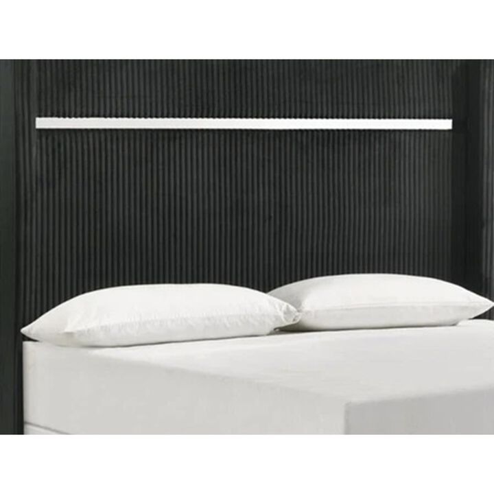 Geny King Size Bed w Channel Tufted Headboard, Silver Trim, Black