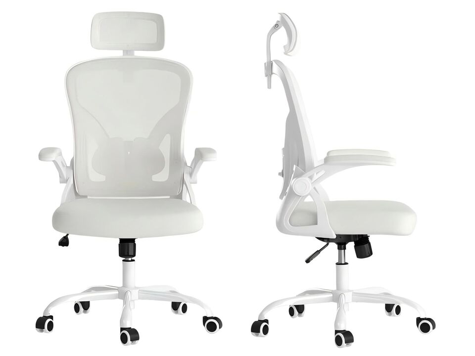 Petrimins Ergonomic Office Chair with 3-Layered Lumbar Support, Adjustable Headrest, Reclining Desk Chair with Flip-Up Armrests for Home, Office