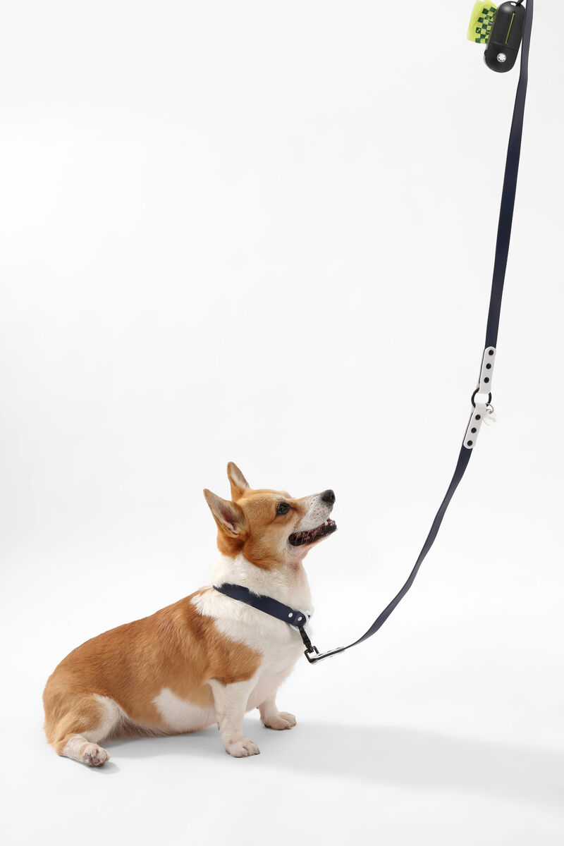 Luna Adjustable 6-in-1 Waterproof Hands-Free Leash and Collar with LED Flashlight