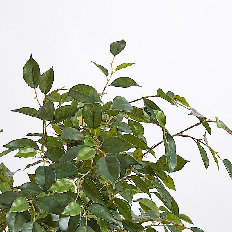 Artificial Ficus Tree with Artisan Planter image number 5