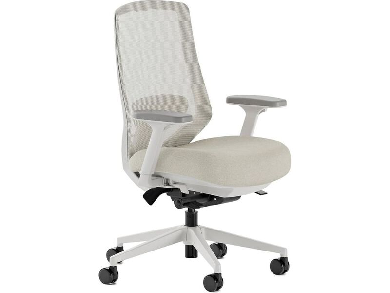 Office Chair &ndash; Ergonomic Mesh Pro Seat with 14 Adjustments, 5D Arms & Lumbar Support image number 0