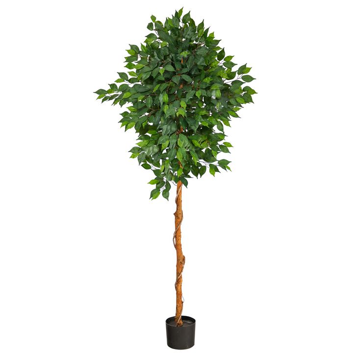 HomPlanti 6 Feet Ficus Artificial Tree