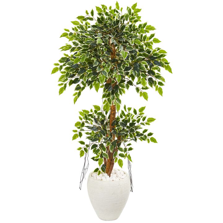 HomPlanti 56 Inches Variegated Ficus Artificial Tree in White Planter