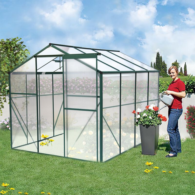 Mondawe 6'x8' Heavy Duty Polycarbonate Greenhouse for Backyard