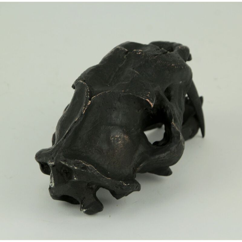 Black Saber Toothed Cat Skull Statue Small image number 2