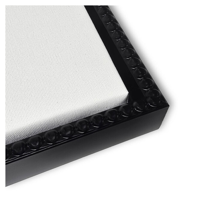 Contrast of Light and Shadow II by Eli Jones Framed Canvas Wall Art