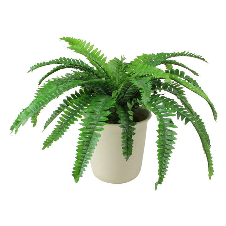 21" Green and Cream White Boston Fern Artificial Potted Plant