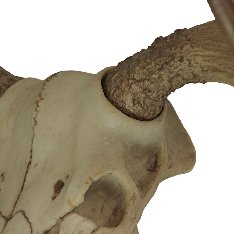 Large Lifelike Bull Moose Skull Hanging Wildlife Decor Statue image number 2