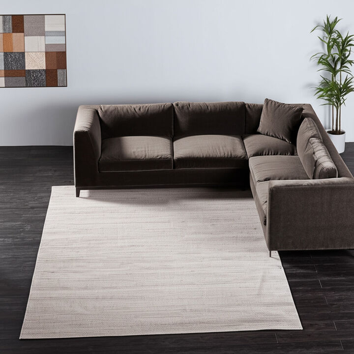 HomeRoots Hand Woven Distressed Area Rug