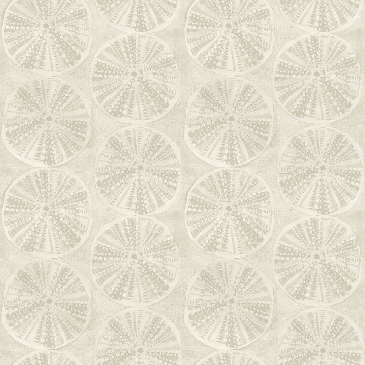 Sea Biscuit Beige Sand Dollar Wallpaper