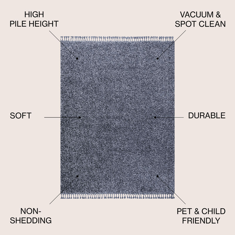 Mercer Shag Plush Tassel Area Rug