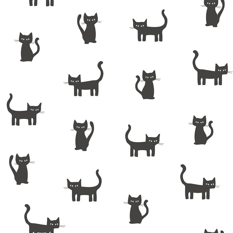 Delia Black Kitty Wallpaper image number 0
