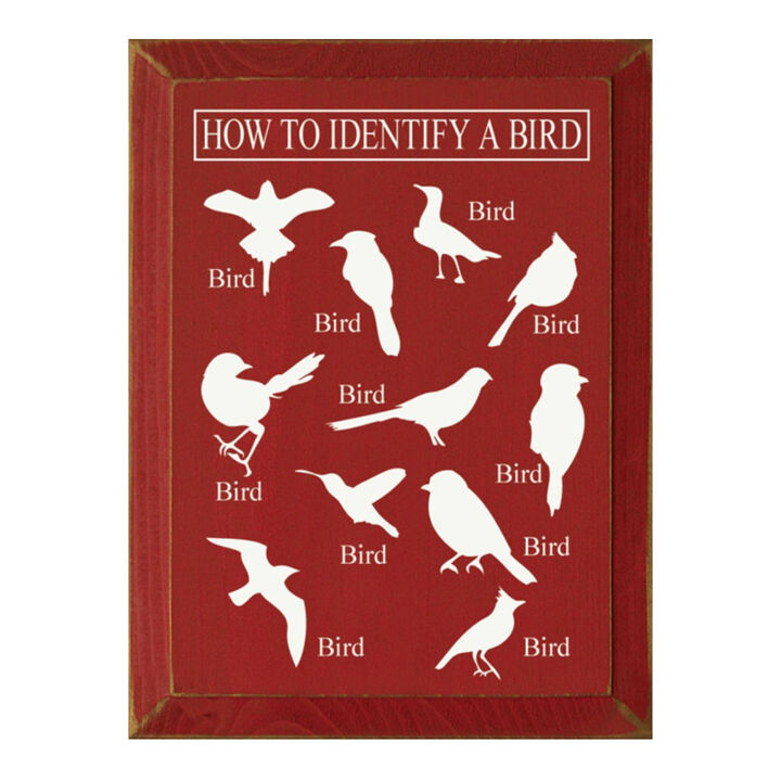 Bird Identification Chart Wall Decor From Solid Knotty Pine