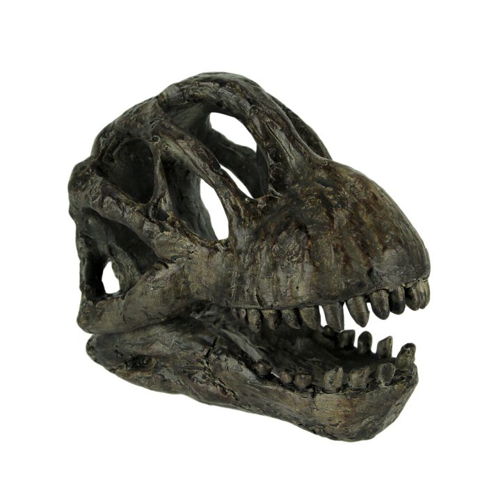 6 Inch Brachiosaurus Dinosaur Skull Fossil Statue Resin Brown Office Desk D&eacute;cor