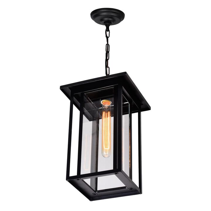 CWI Lighting Crawford 1 Light Black Outdoor Hanging Light