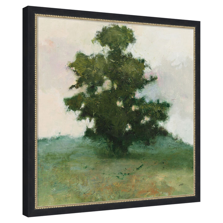 Heritage Oak I by Julia Purinton Framed Canvas Wall Art