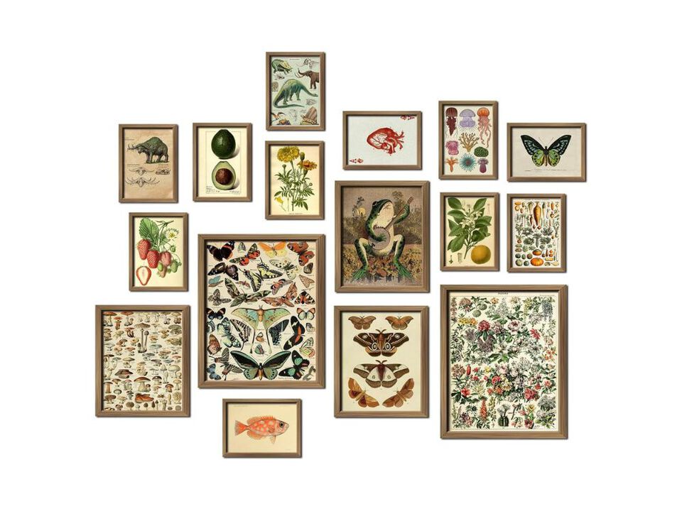Framed Vintage Botanical Wall Art Set of 16 Cottagecore Gallery Decor Prints
