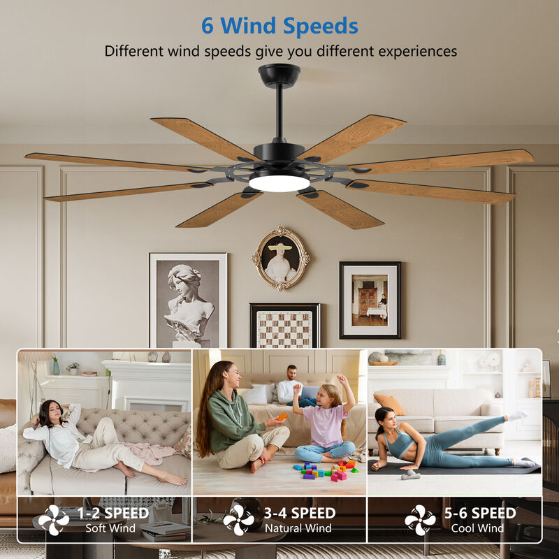 ELEMENT ACE 72-Inch 8-Blade Large Reversible Quiet DC Motor Ceiling Fan for Indoor Outdoor Use, Ideal for Kitchen Living Room Patio and Terrace Spaces image number 5