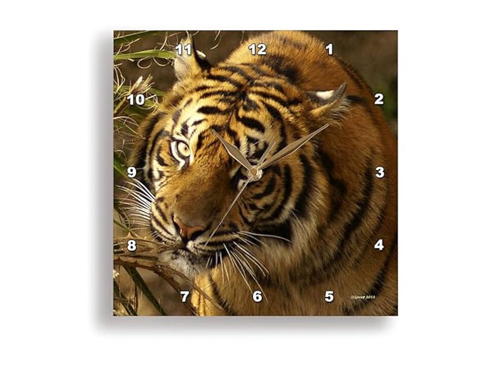 Bengal Tiger Wall Clock 15 Inch Home Decor