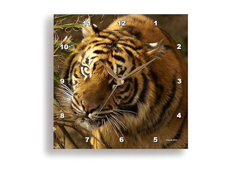 Bengal Tiger Wall Clock 15 Inch Home Decor image number 1