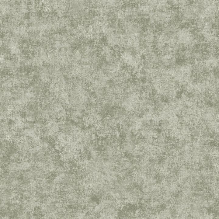 Elegance Metallic Plaster Silver Grey Wallpaper AM22009-3