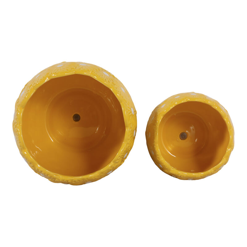S/2 6/8" Daisy Planters image number 5