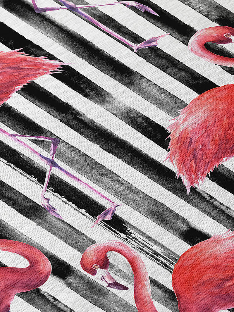 Tropics TC9 Collection