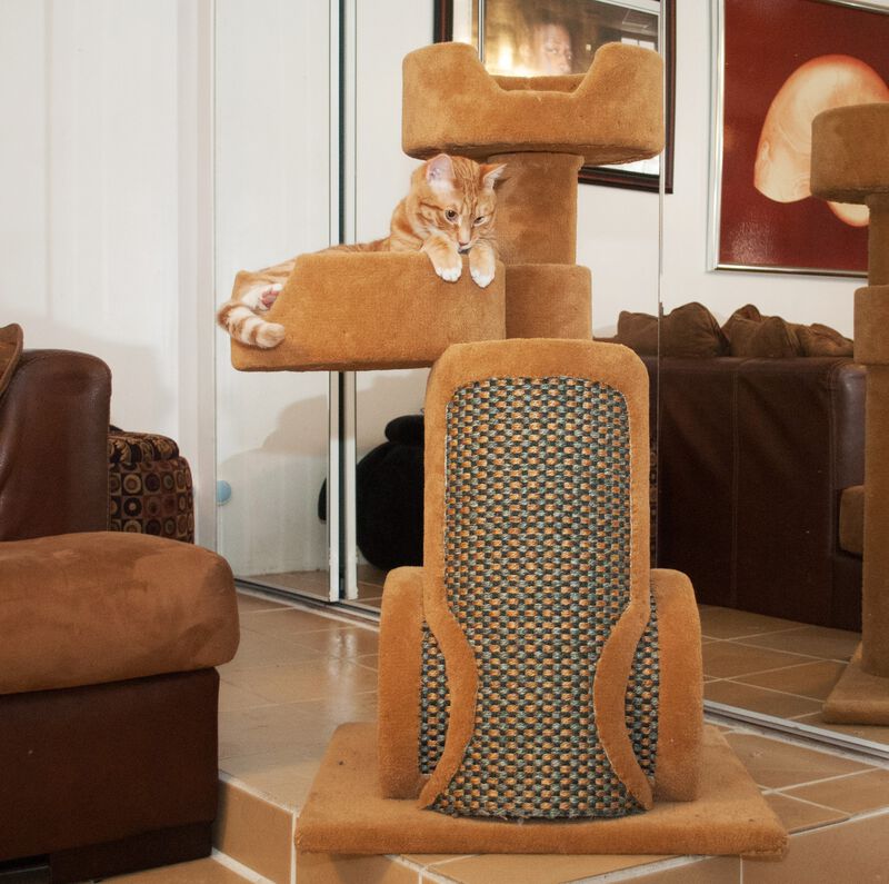 Royal Cat Boutique NANI-2 41-in Cat Tree, Neutral, Medium image number 1