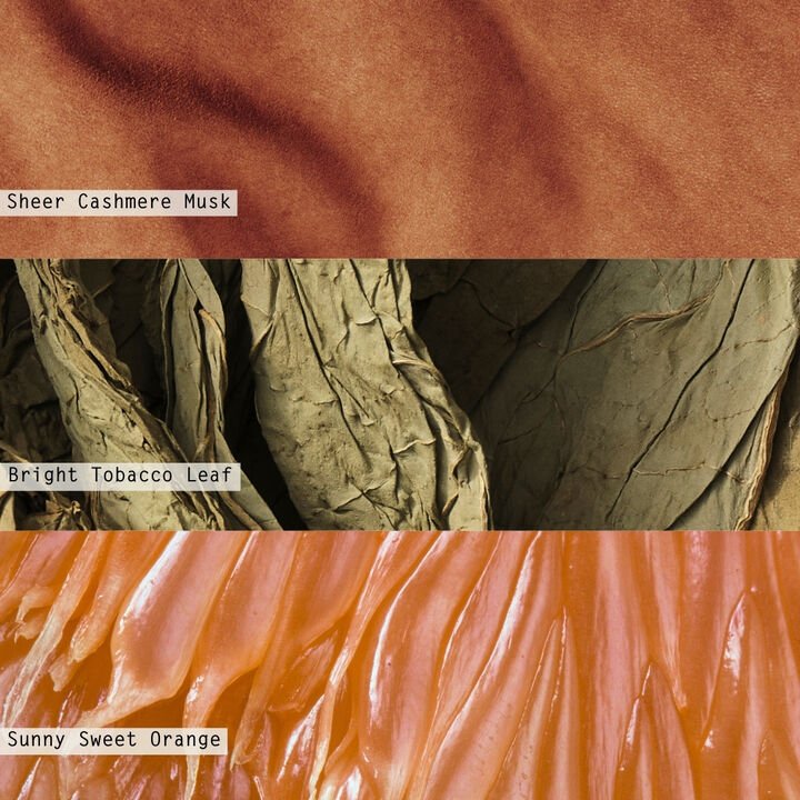 ILLUME Beautifully Done Driftwood Refillable Aromatic Diffuser