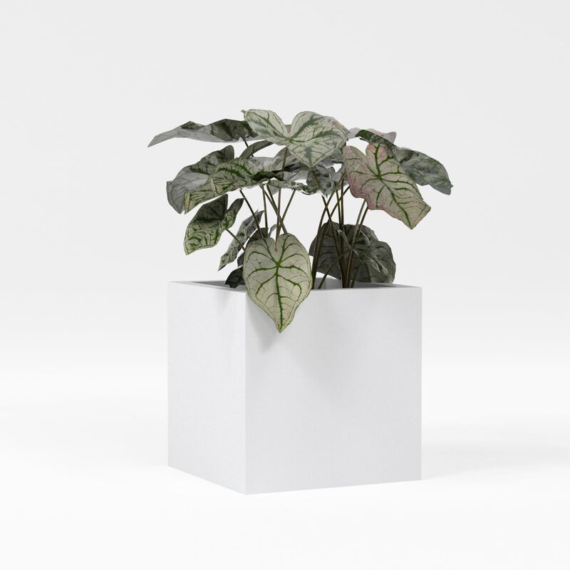 Greenline Fiberglass Jack Square Cube Planter - Indoor/Outdoor Large Fiberglass Lightweight Planter.