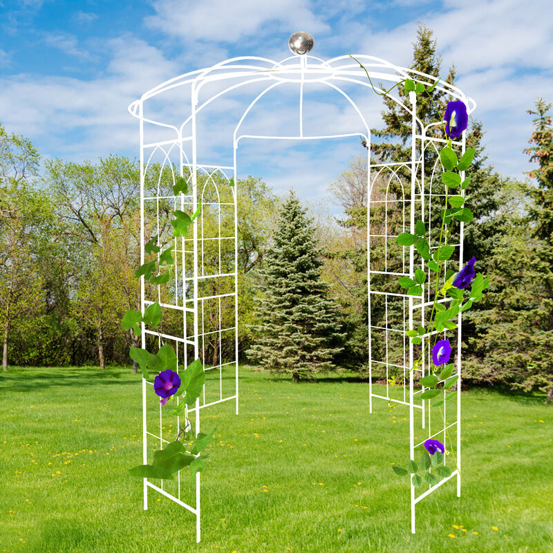 Wedding Arch Gazebo Metal Birdcage Pergola for Ceremonies & Gardens