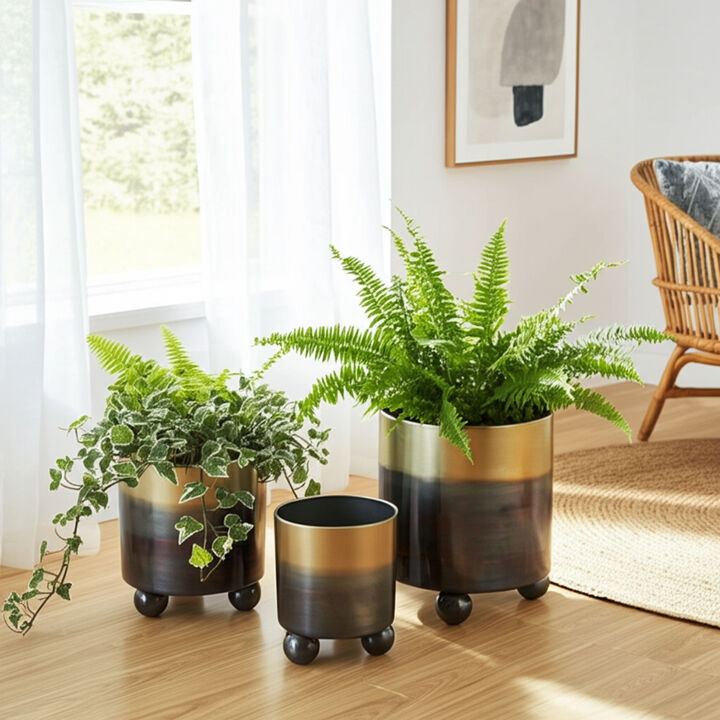 Metal Planter (Set of 3)