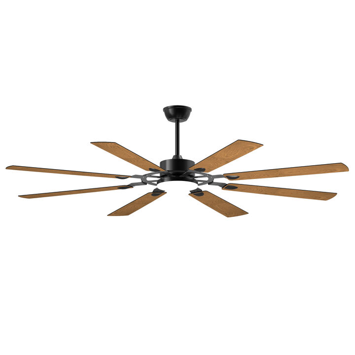 ELEMENT ACE 72-Inch 8-Blade Large Reversible Quiet DC Motor Ceiling Fan for Indoor Outdoor Use, Ideal for Kitchen Living Room Patio and Terrace Spaces