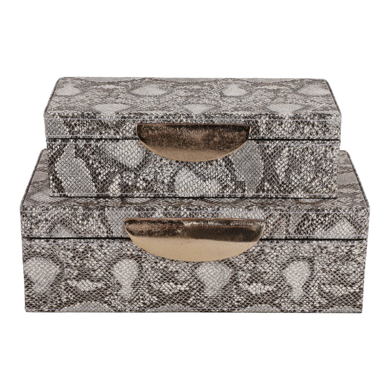 S/2 Shimmer Snakeskin Boxes image number 0