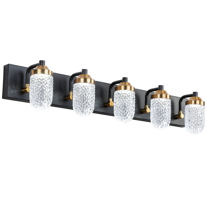 Vanity Lights With 5 LED Bulbs For Bathroom Lighting