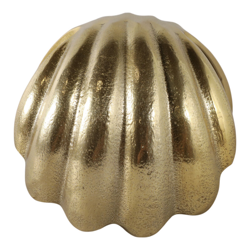 5" Clam With Acrylic Pearl image number 5