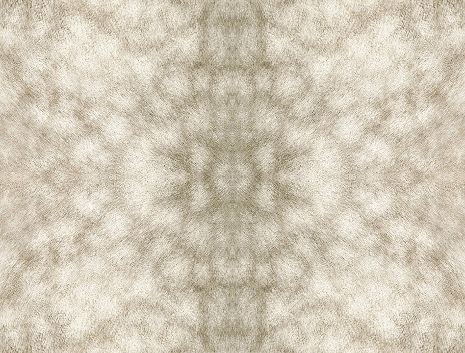 Palomino Tan Peel & Stick Wallpaper