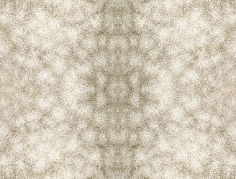 Palomino Tan Peel & Stick Wallpaper image number 0