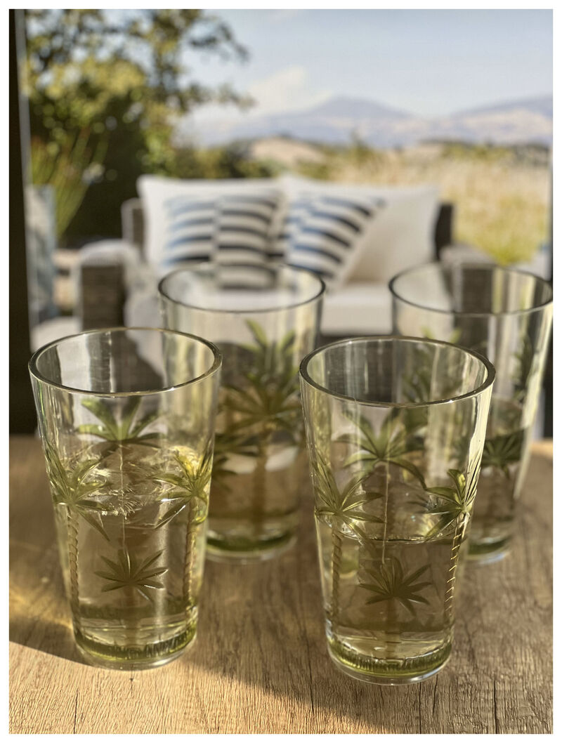 Palm Tree Pattern Acrylic Highball Glass Set of 4 for Cocktails and Gatherings