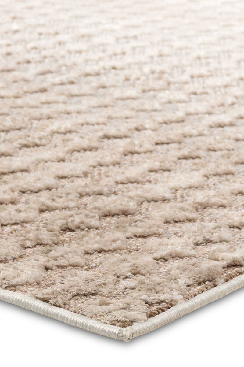 Composure Monument Eggnog 8'6" x 11'6" Rug image number 2