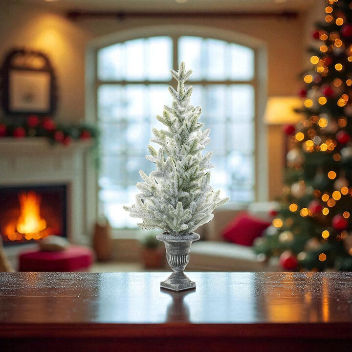 Potted Mini Pine Tree in Classic Urn for Holiday Centerpiece or Console Display